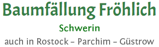 Baumfällungen Schwerin Baumfällungen Schwerin